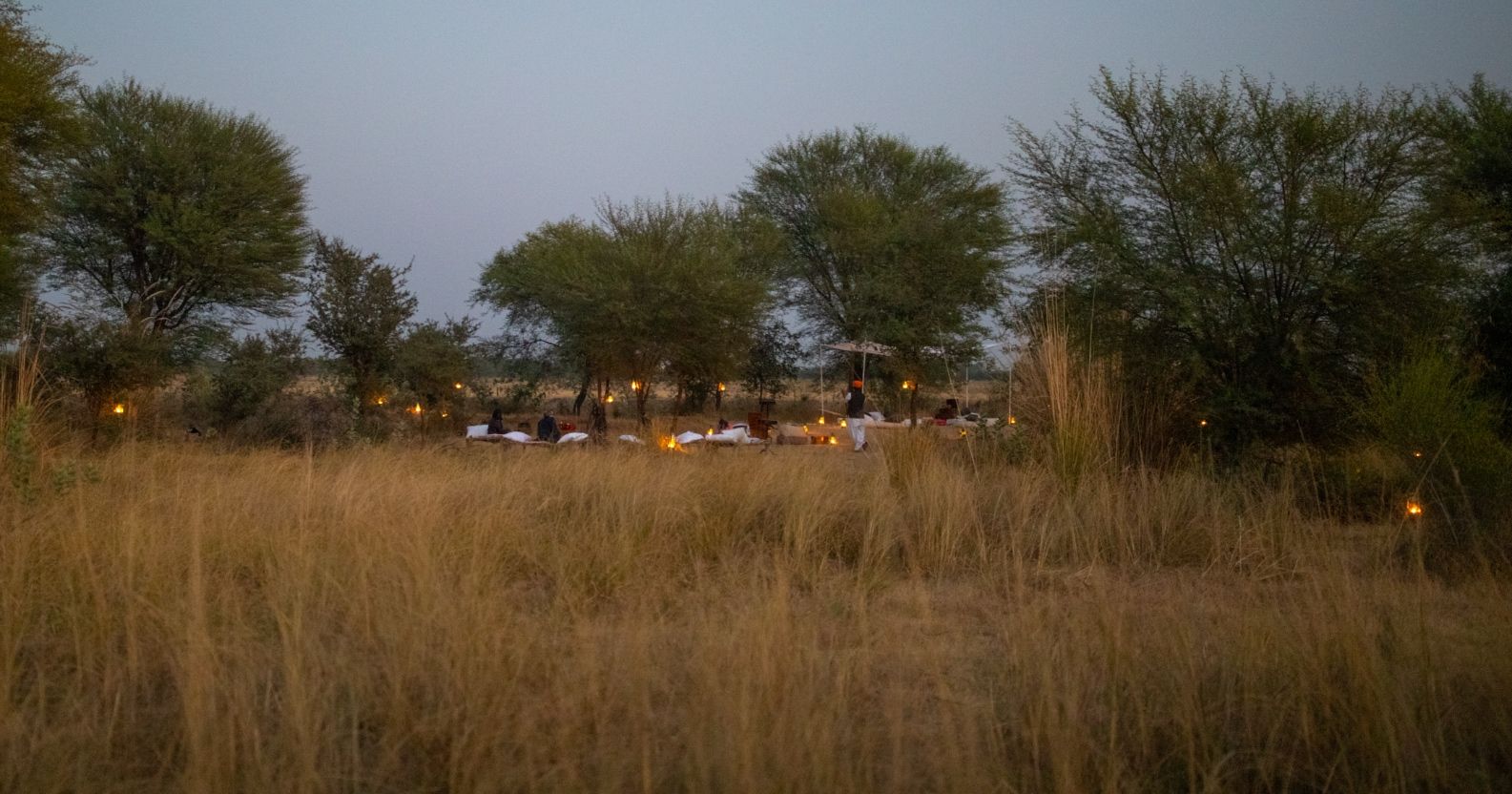 Field Station / Rajasthan: A Coliving Residency to Build the Parallel